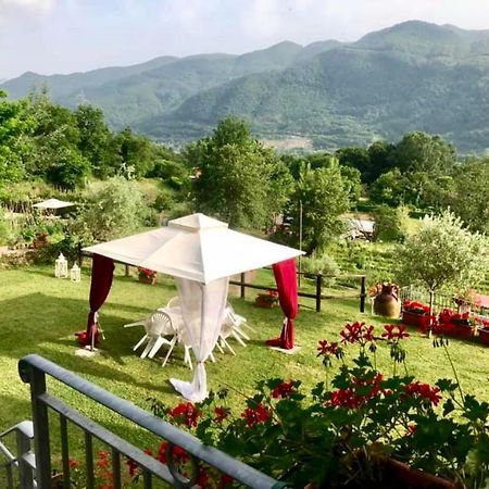 Agriturismo Il Frutteto Ghivizzano Ngoại thất bức ảnh